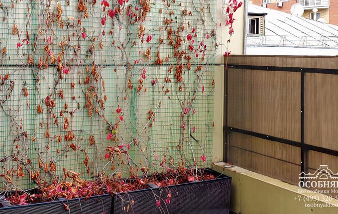 на Нижней Красносельской, 5с5, площадь 1244 м