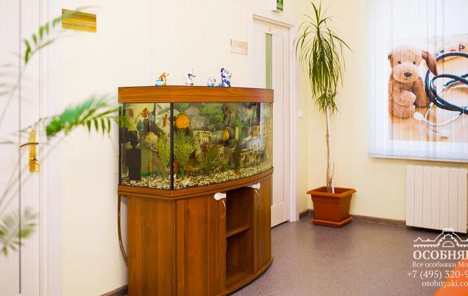 на Гиляровского, 10, площадь 1217 м